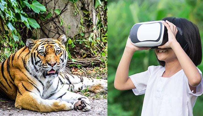 VR Zoo Experience