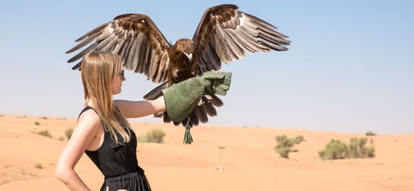 Premium Desert Safari At Dubai Luxury And Adventure Awaits – photo 3