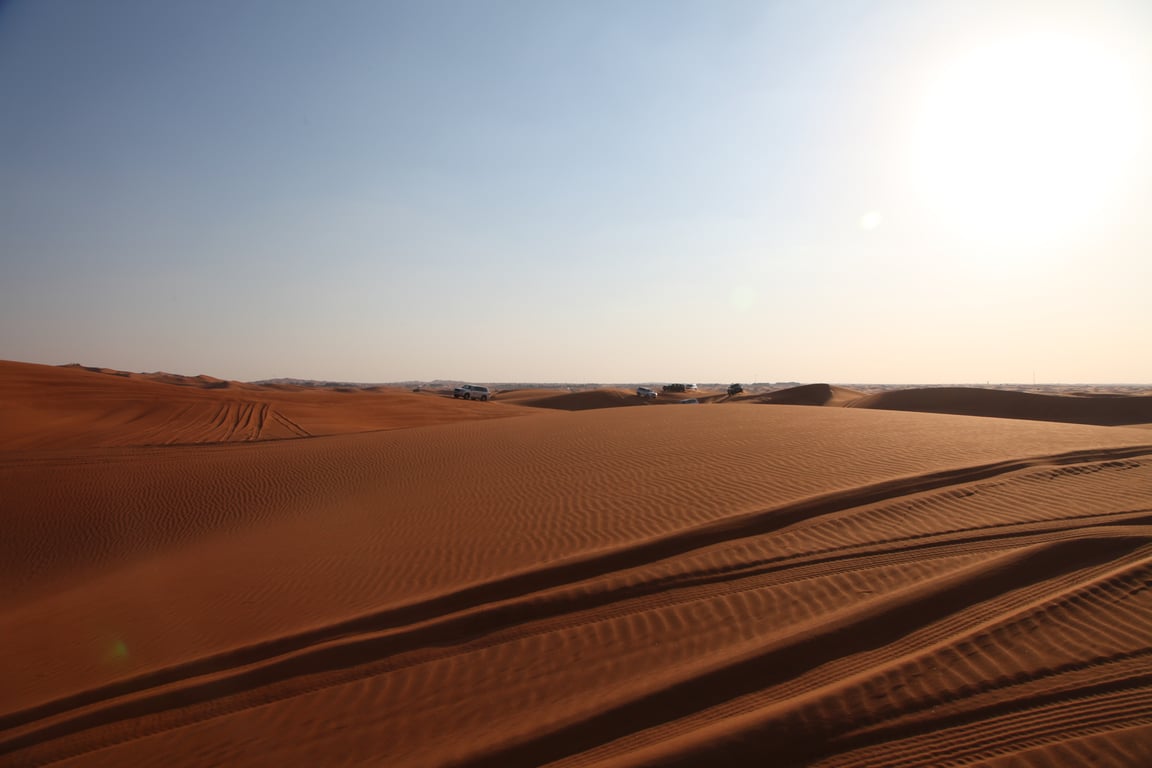 Highlights Of The Morning Red Dune Desert Safari Lahbab Desert