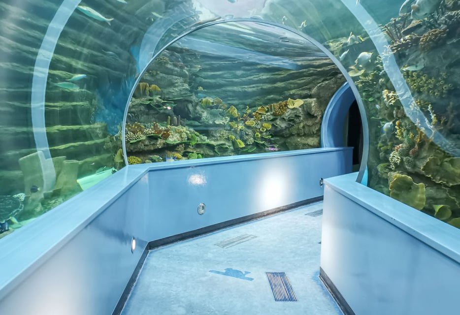 The Sharjah Aquarium Is Located Just Across From The Sharjah Maritime Museum