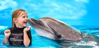Dubai Travel And Tours