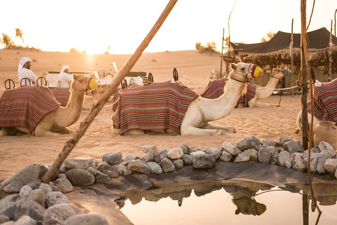 Desert Safari And Meeting with Bedouins At Dubai