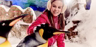 Burj Khalifa With Garden Glow Combo