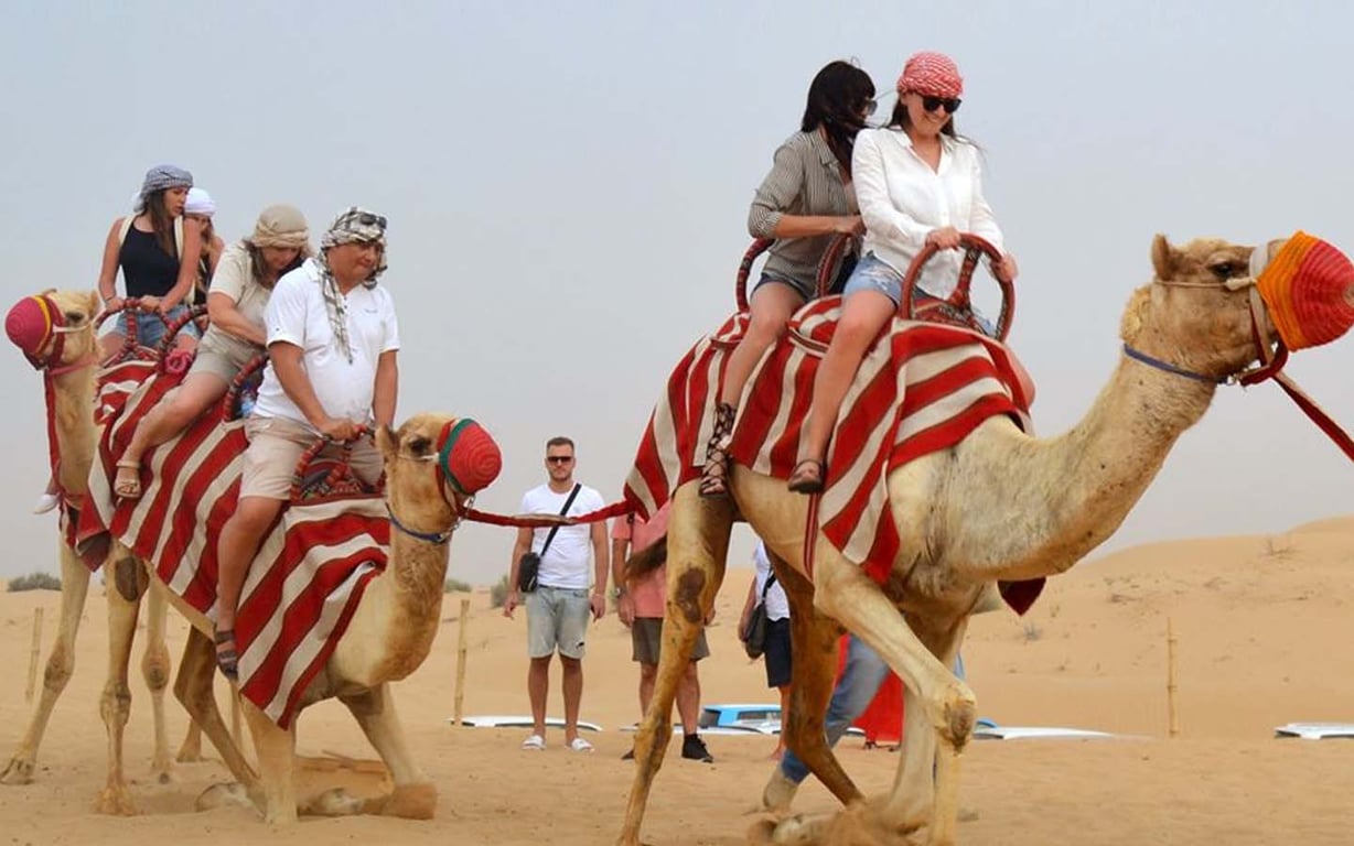 Admire Camel Ride At Desert