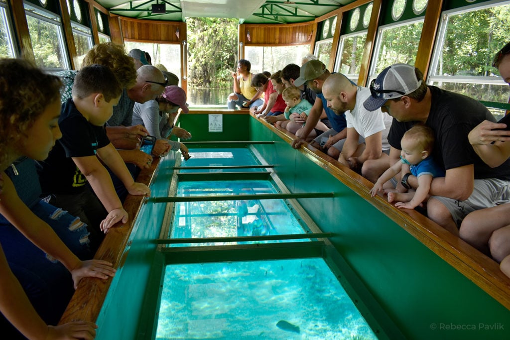 Ride The Glass-Bottom Boats