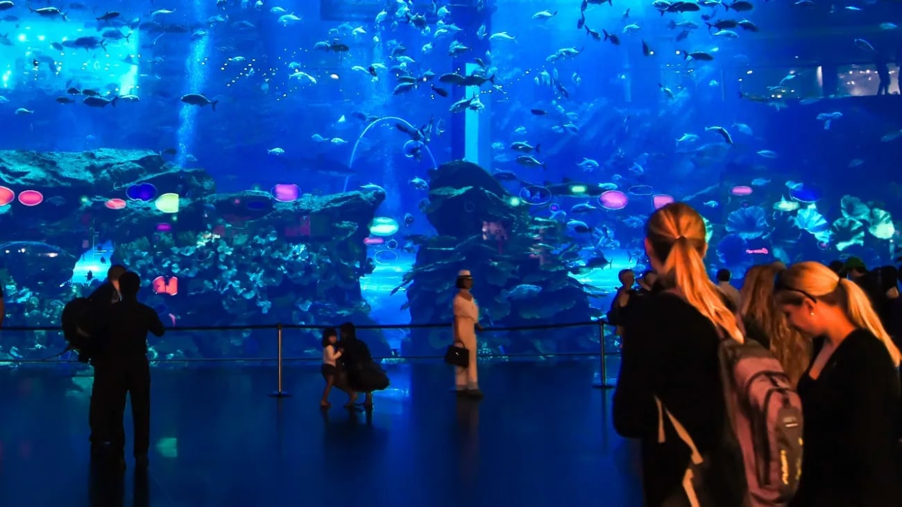Best Hotels Close To The Underwater Zoo And Aquarium In Dubai Mall