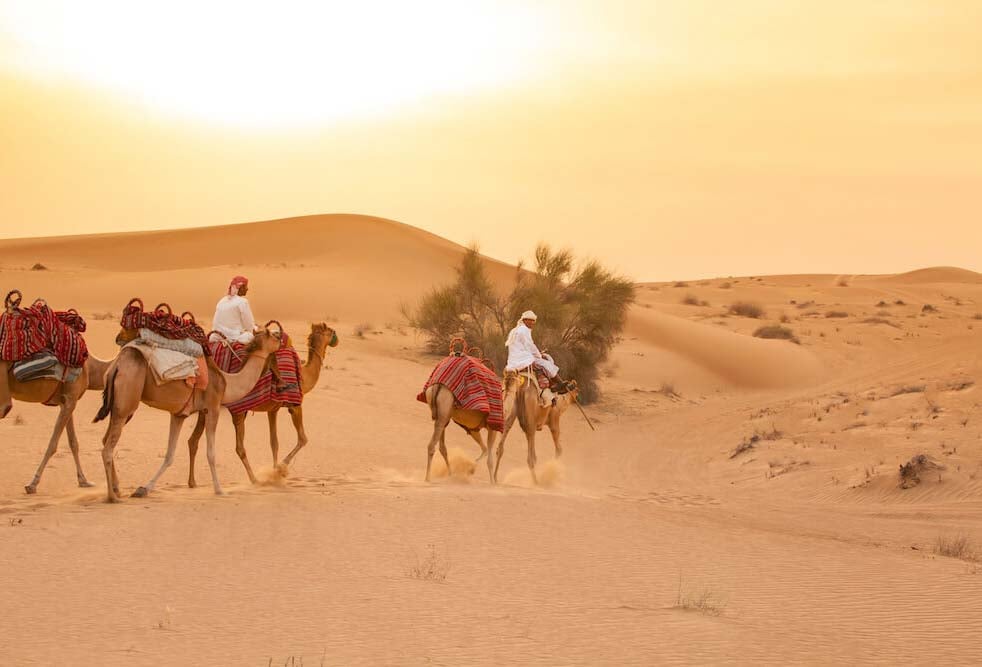 Amaze Camel Riding In Dubai Desert 2023