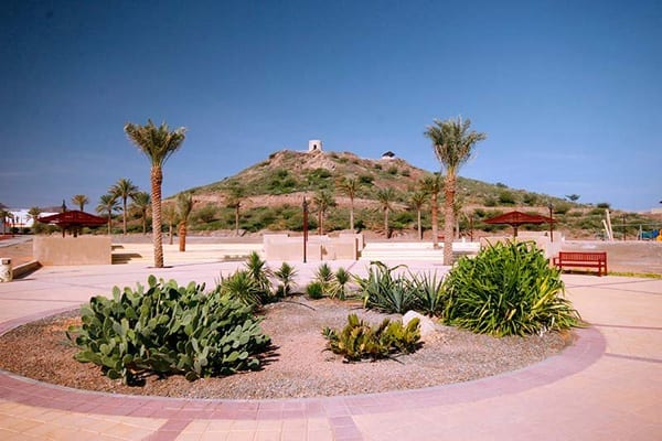 Hatta Hill Park's Barbecue With A View