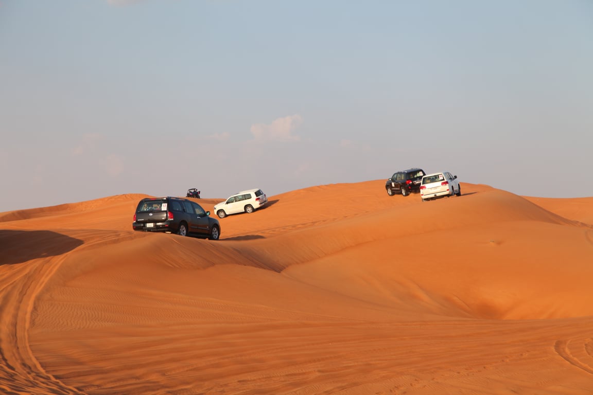 Meandering Around In The Desert Safari Dubai