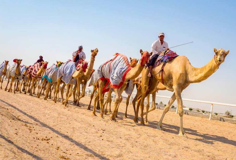 4.	Take A Happy Camel Ride