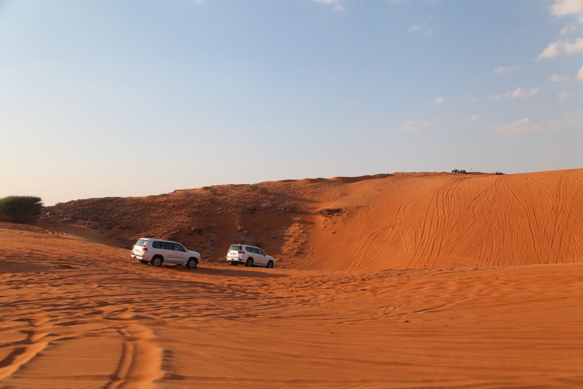 Types Of Red Dune Desert Safari