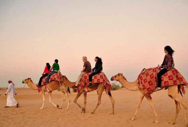 Astonish Camel Riding In Dubai Desert 2023