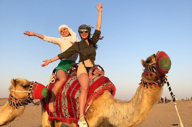Camel Traveling At Desert Safari 2023