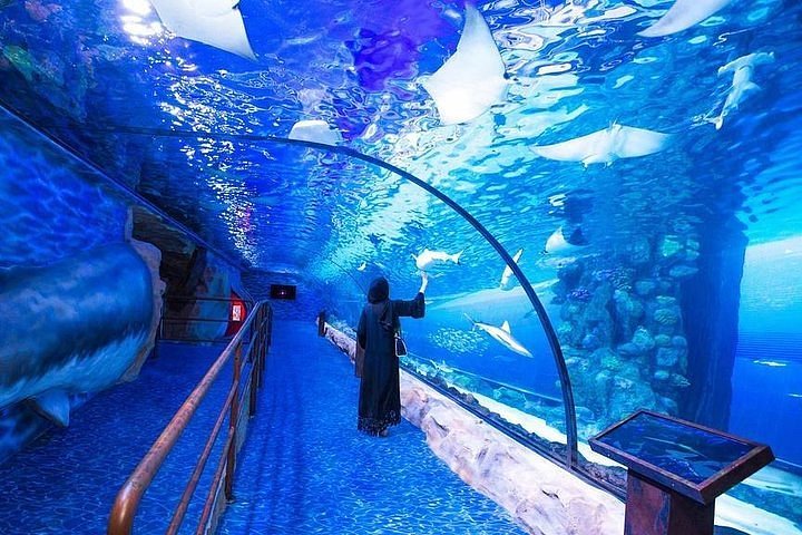 Largest Suspended Aquarium In The World