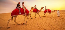 Sunrise Desert Safari with Sand Boarding & Camel Riding at Red Dunes