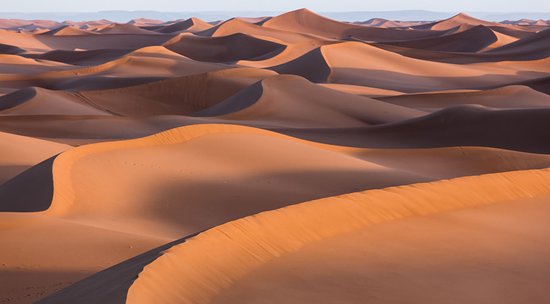 Red Dunes 6