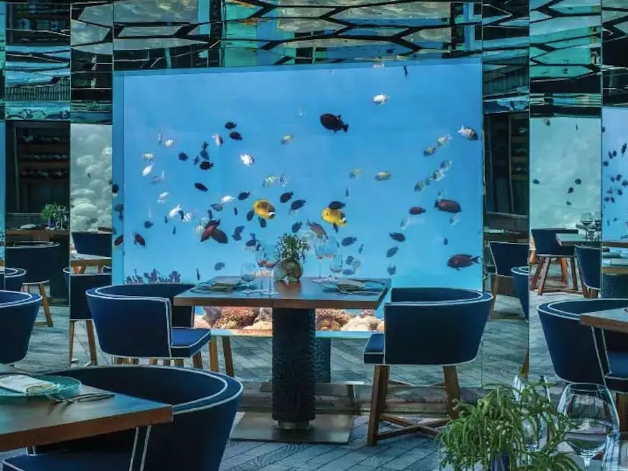 Flabbergast Aquatic dining area