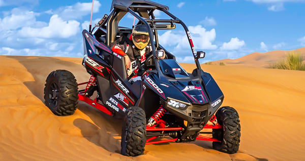 Polaris RS1 2 Seater