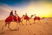 Camel Riding