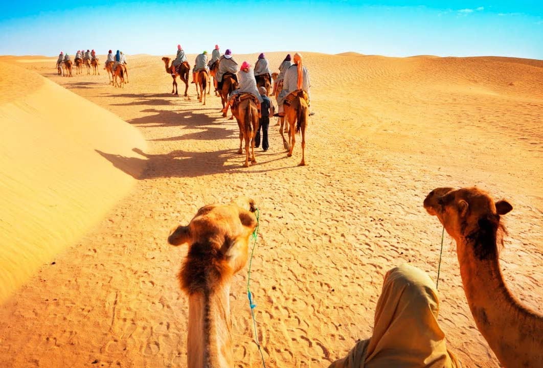 Incredible Camel Journey