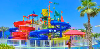 Dubai Dolphin Show Regular Tickets 