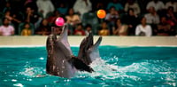 Dubai Travel And Tours
