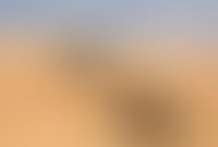 Liwa Desert