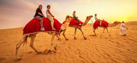 Dubai Travel And Tours