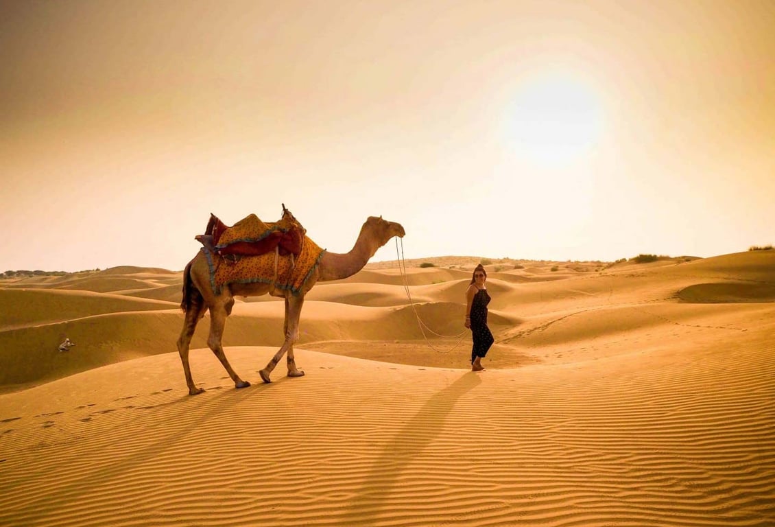 Camel Riding At Red Dunes