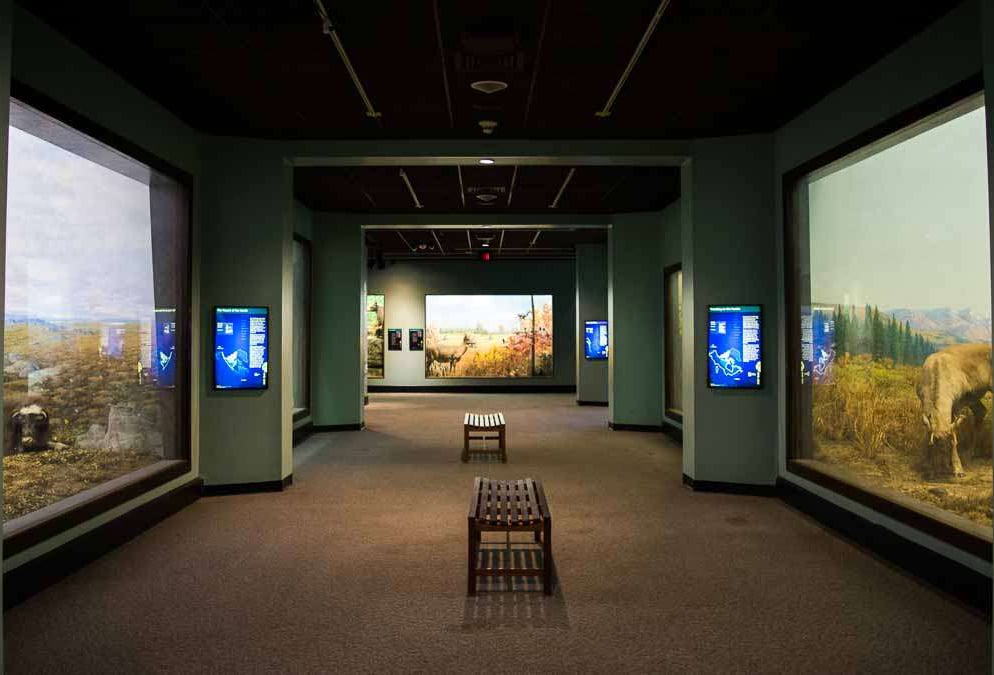 Halls And Displays Of The Museum