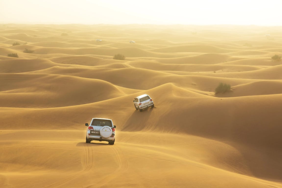 Astonishing Private  Half Day 4×4 Morning Desert Safari In Dubai
