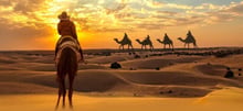 Evening Safari Dubai 4 Hours Private Tour Up-to 6 People