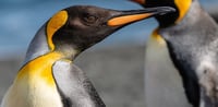 Dubai Travel And Tours
