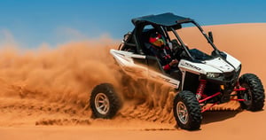 Polaris RS1 2 Seater
