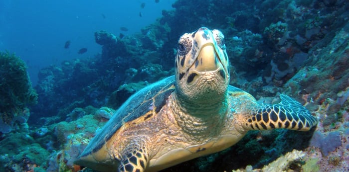 Dubai Travel And Tours