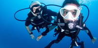 Dubai Travel And Tours