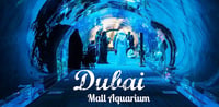 Dubai Travel And Tours