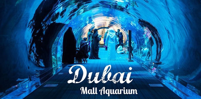 Dubai Travel And Tours