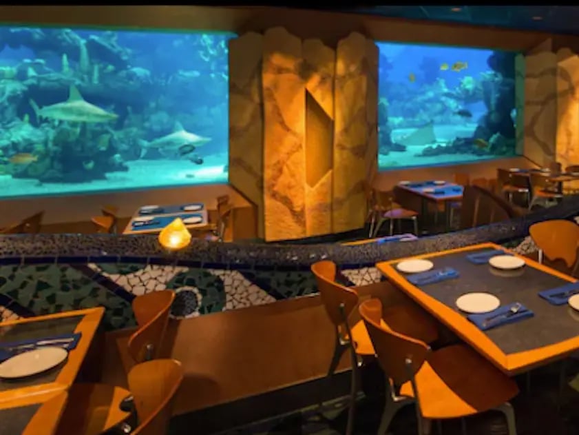 Flabbergast Aquatic dining area