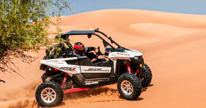 Polaris RS1 2 Seater