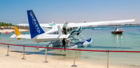 Dubai Travel And Tours