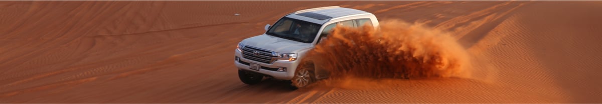 Red Dunes Desert Safari Dubai Packages Overview image