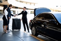 Luggage Assistance