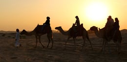 Sunrise Desert Safari with Quad Biking, Sand Boarding & Photo with Falcon
