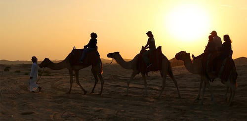 Sunrise Desert Safari with Quad Biking, Sand Boarding & Photo with Falcon