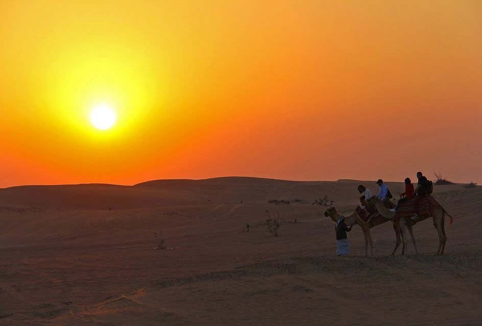 Enjoy Safari Sunset At Dubai