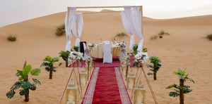 Bespoke Dinner White Setup