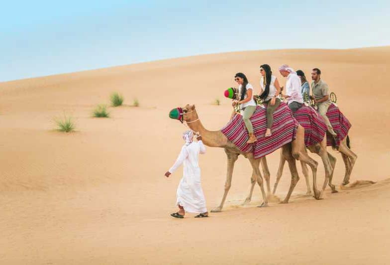 Stunning Camel Ride At Desert Safari