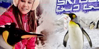 30 Minutes 300 Cc Yamaha Quad Bike ( Age Above 11 Years )