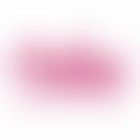 Premium Desert Safari Dubai